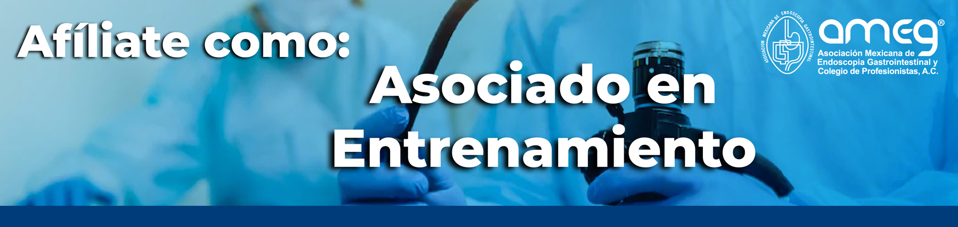 Asociado en entrenamiento