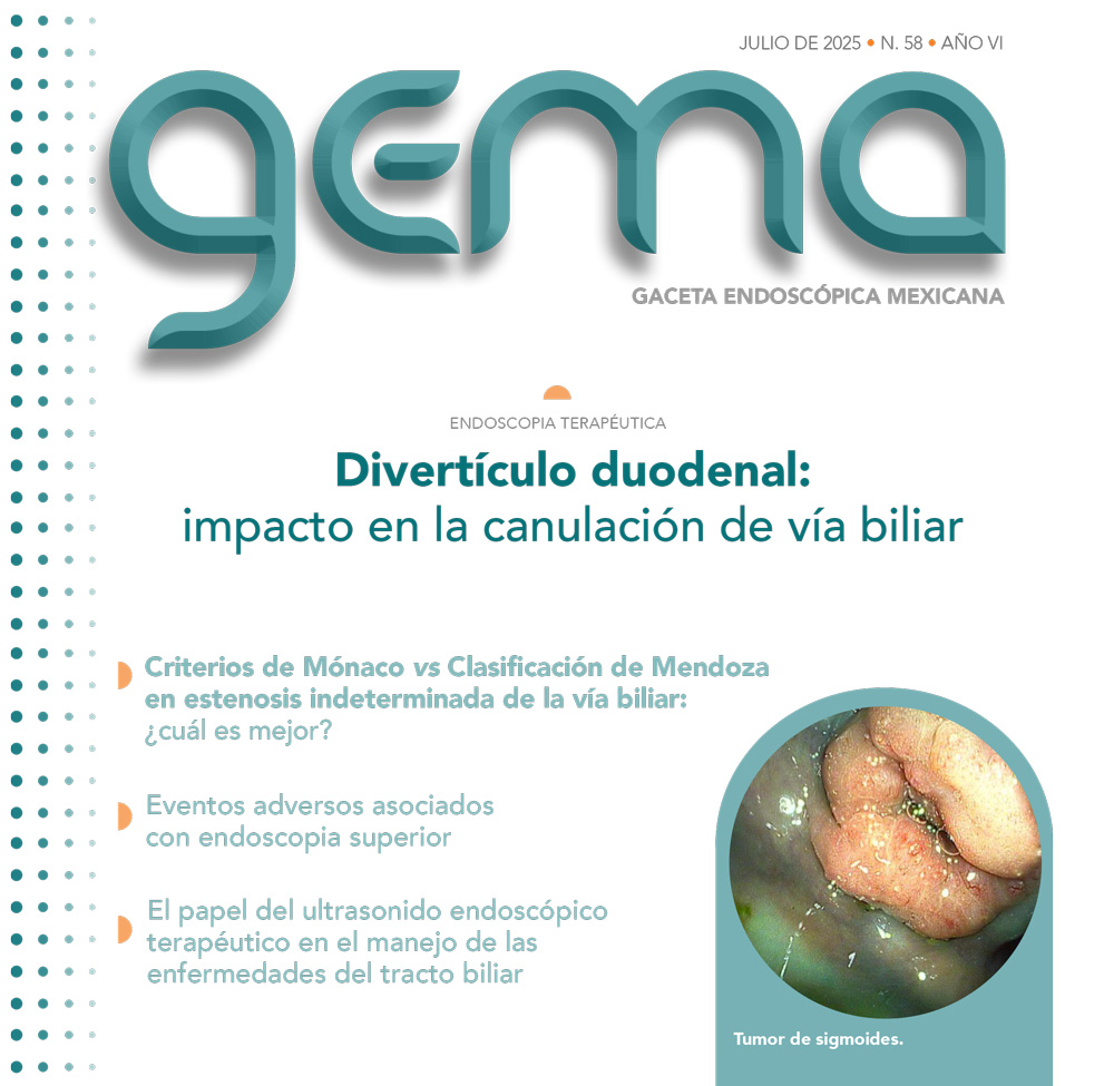 GEMA 46 jul 2024
